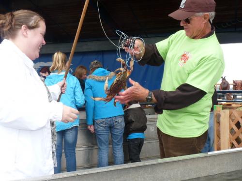 Dungeness Crab and Seafood Festival-Crab Derby