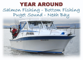 Excel Fishing Charters