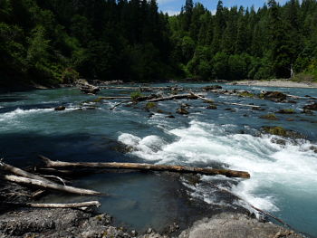 Hoh River Hoh River